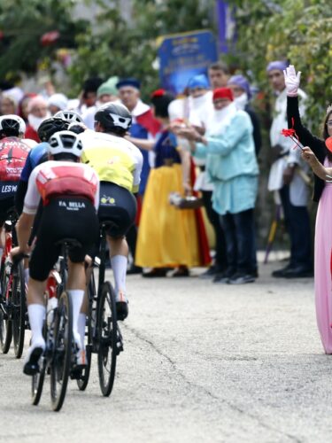 {{brizy_dc_image_alt entityId=